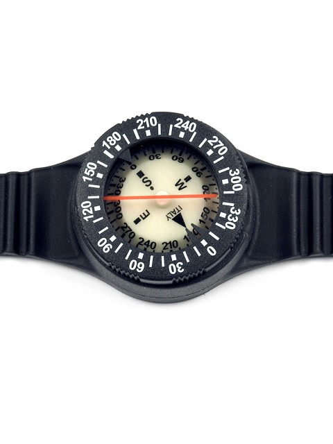 Compass with wristband